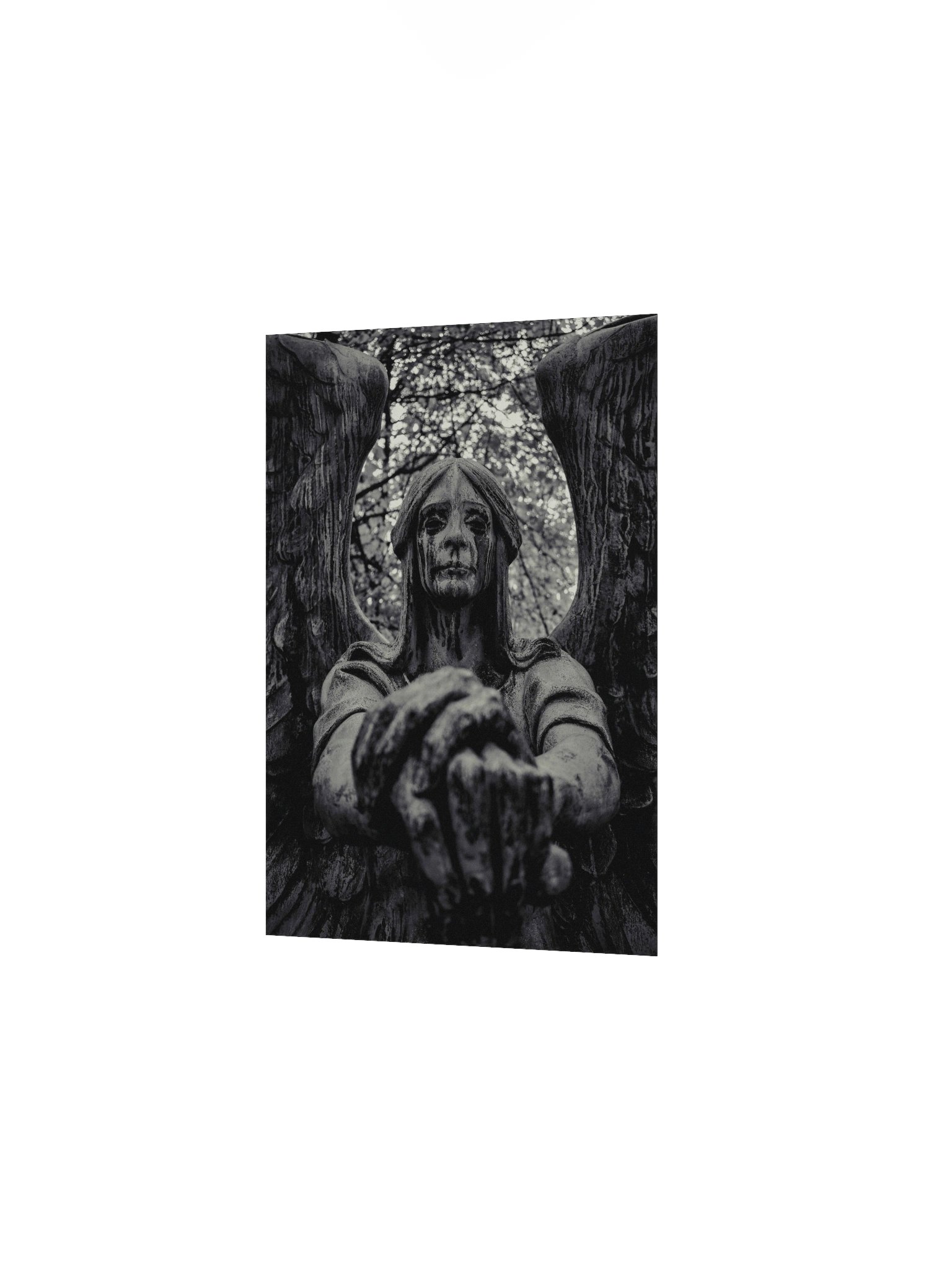 Haserot Photo Print product image (2)