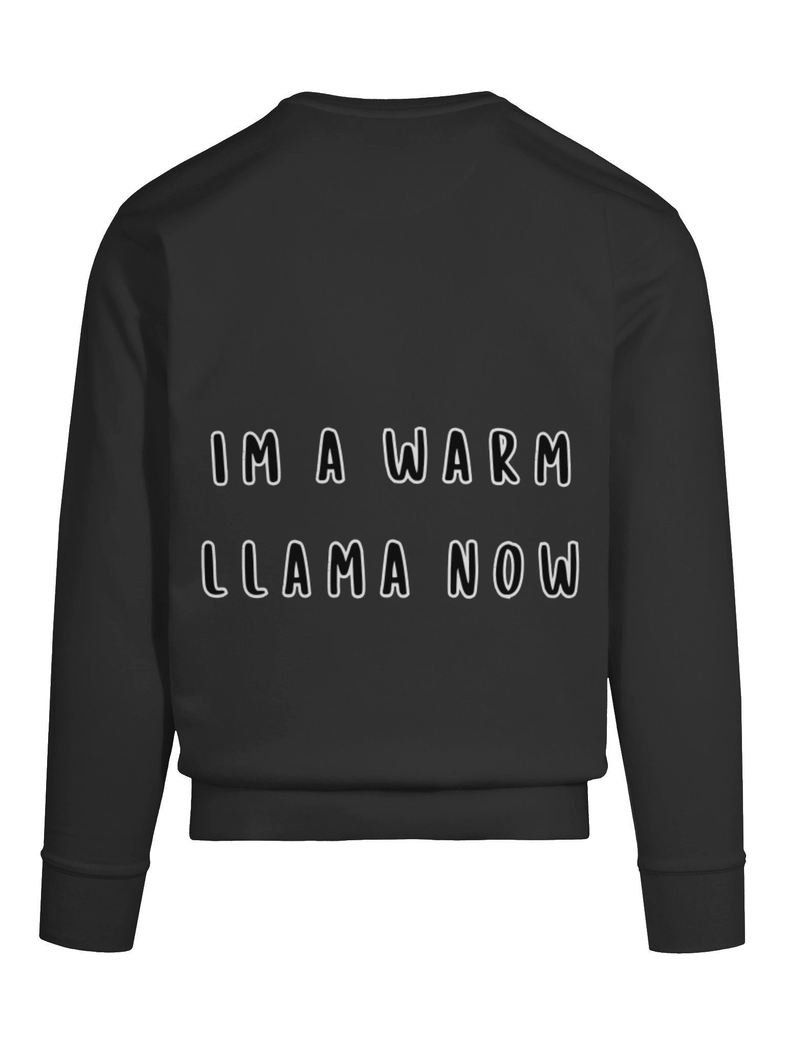 LLAMA SWEATSHIRT product image (53)