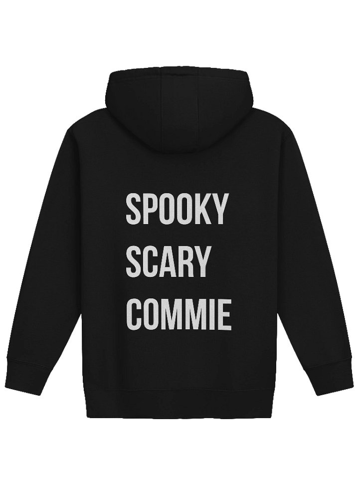 The New Red Scare- Hoodie product image (2)