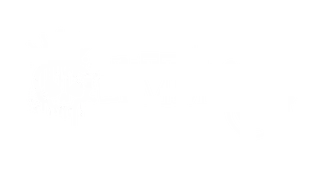 LittleLemmi