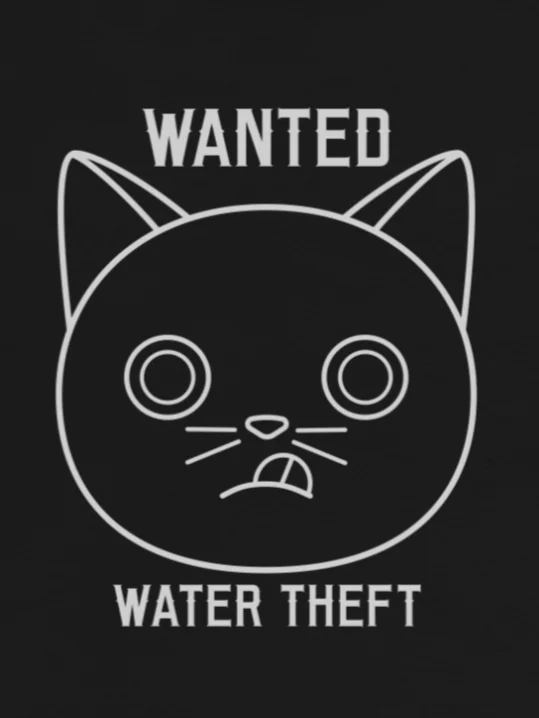 Wanted (Water Theft) - Unisex Youth Heavyweight T-shirt product image (1)