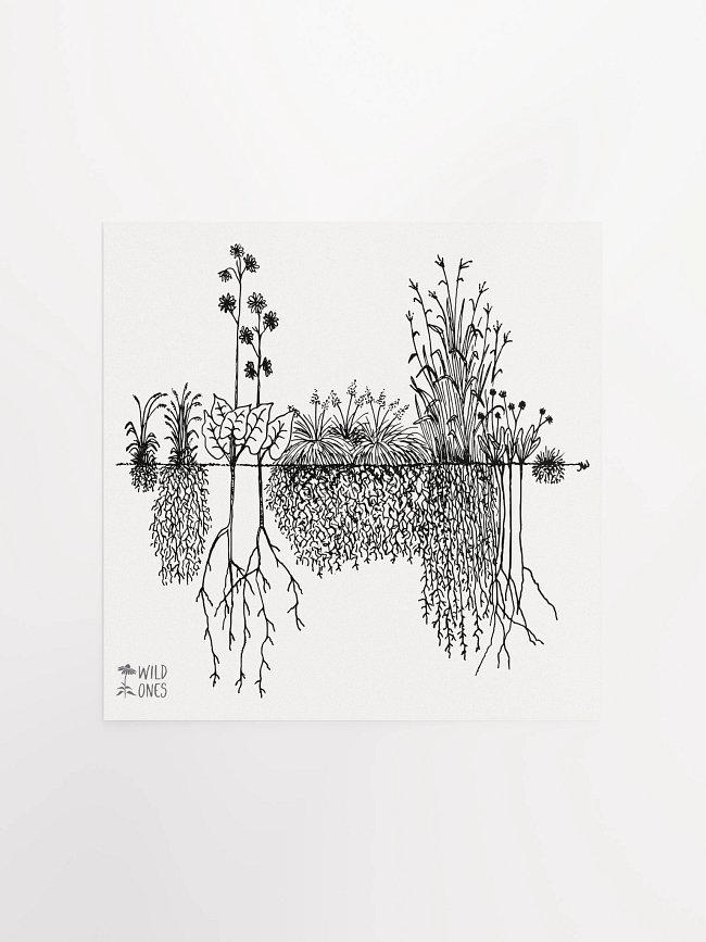 Deep Roots