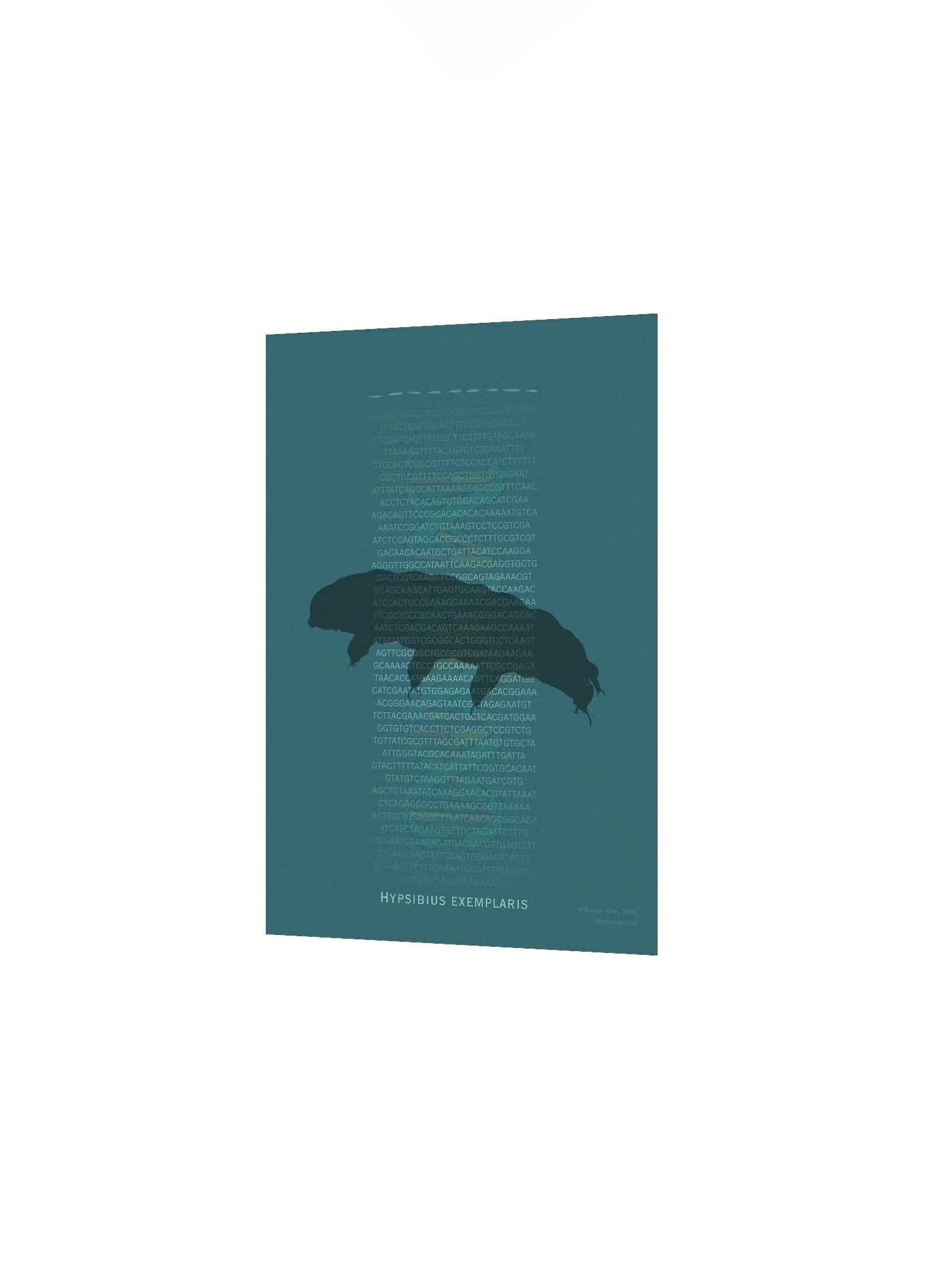 Tardigrade Genome Poster product image (2)