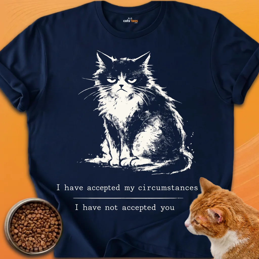 I Have Accepted product image (3)