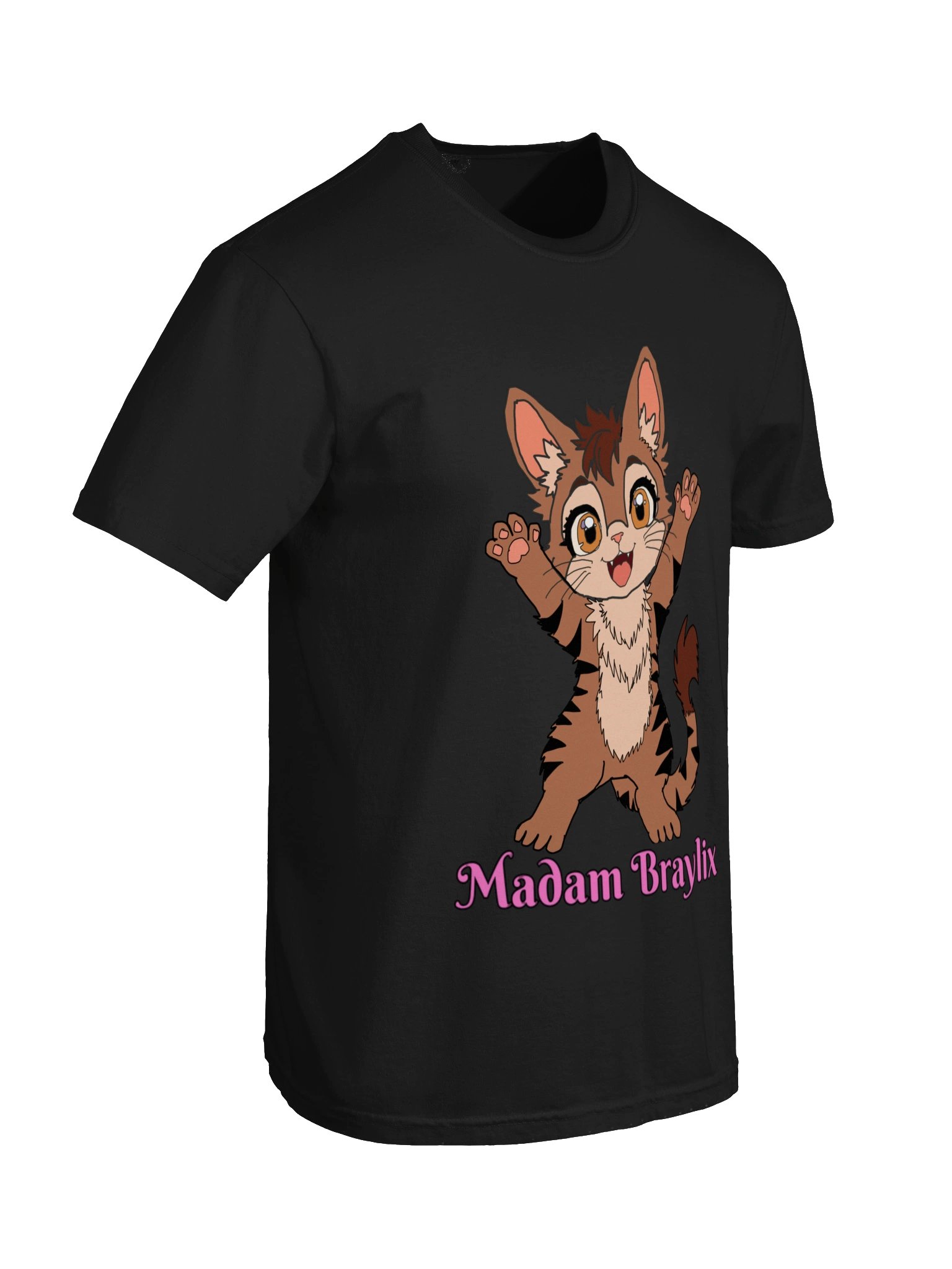 Braylix the CatKey Adult T-Shirt product image (71)