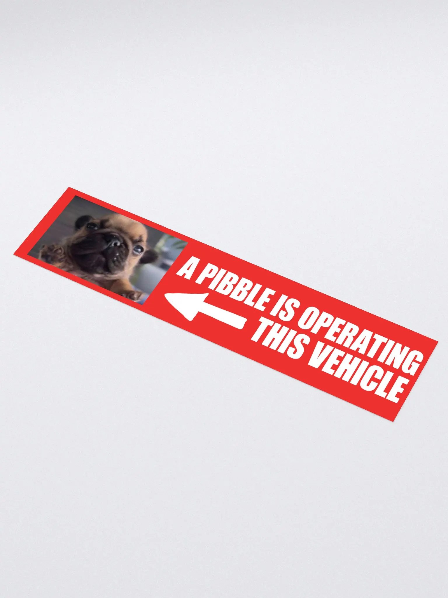 A PIBBLE IS OPERATING THIS VEHICLE product image (1)