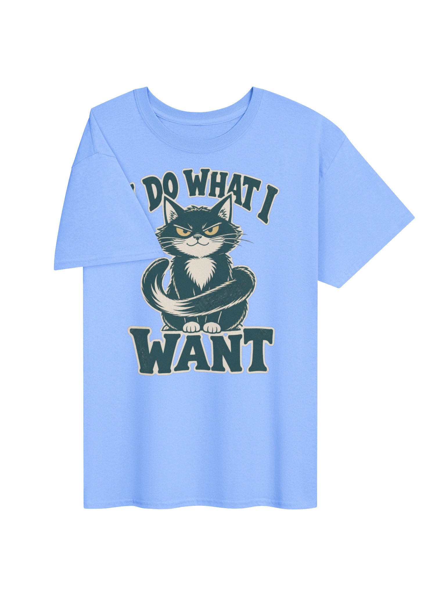 I Do What I Want Cat T-Shirt – Funny Vintage Cat Lover Graphic product image (27)