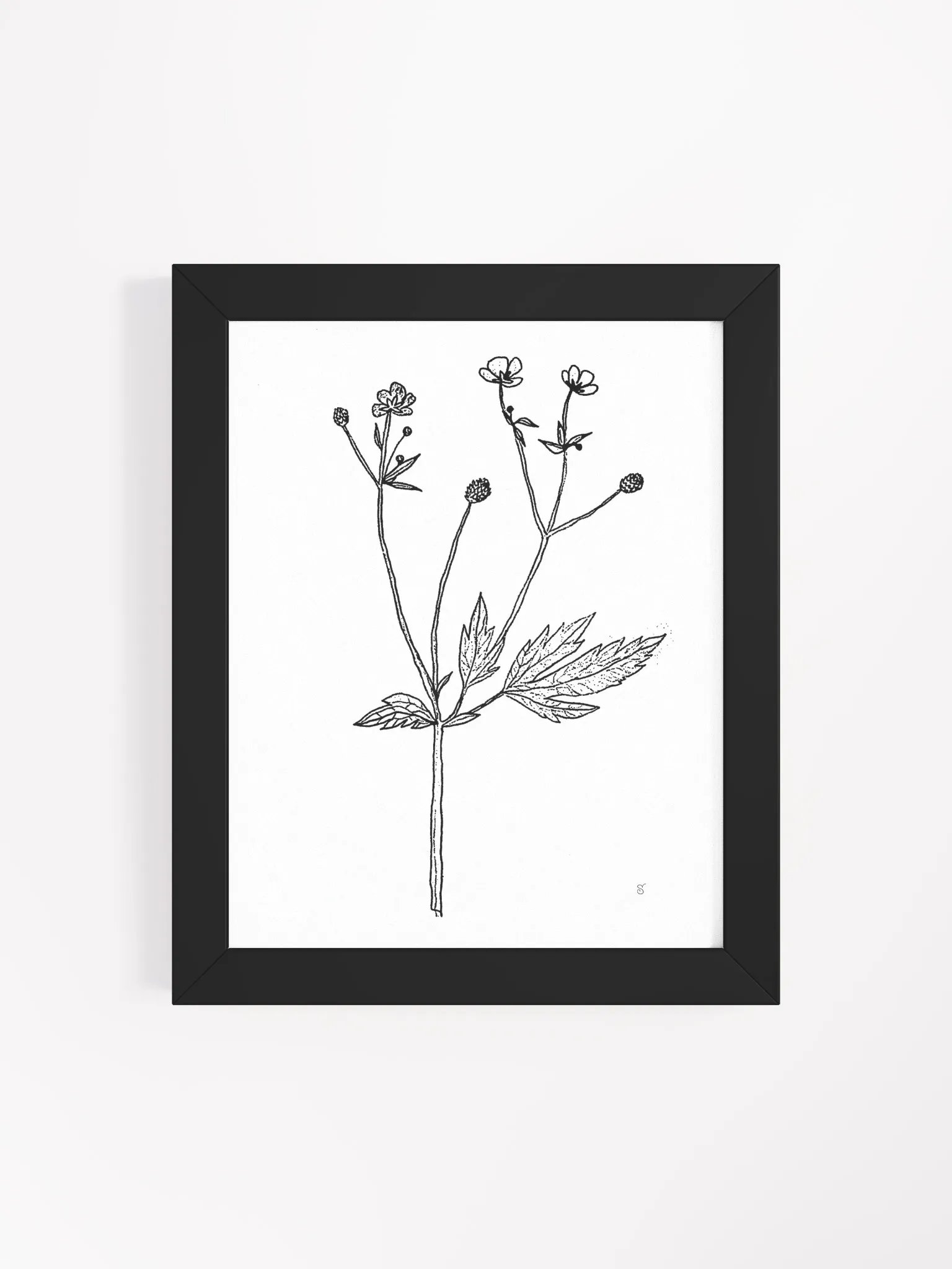 Botanical Bliss Framed Matte Poster - Wild Flowers product image (12)