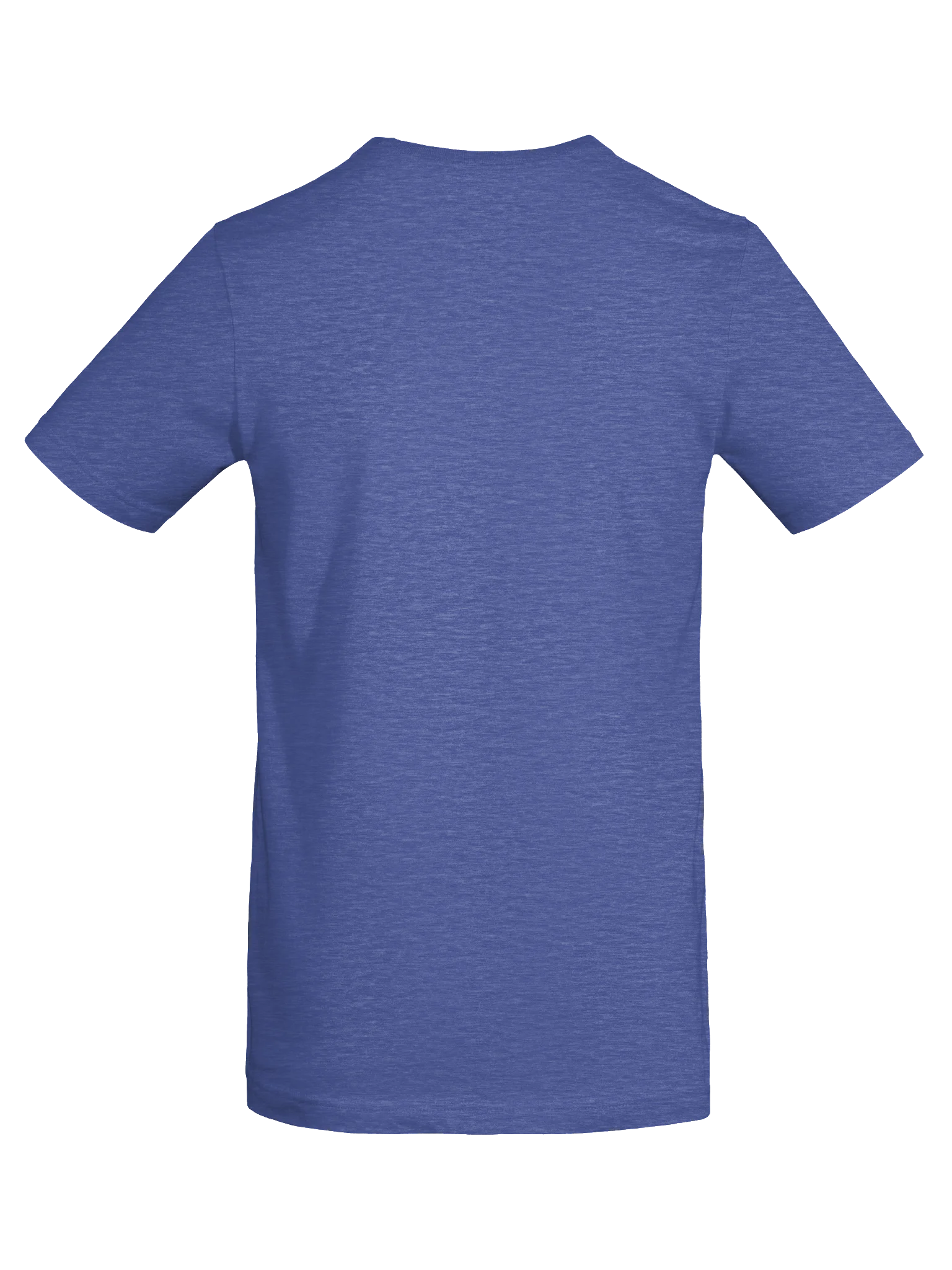 Mantis Meets Lion Heather Tee - Cotton Blend product image (20)