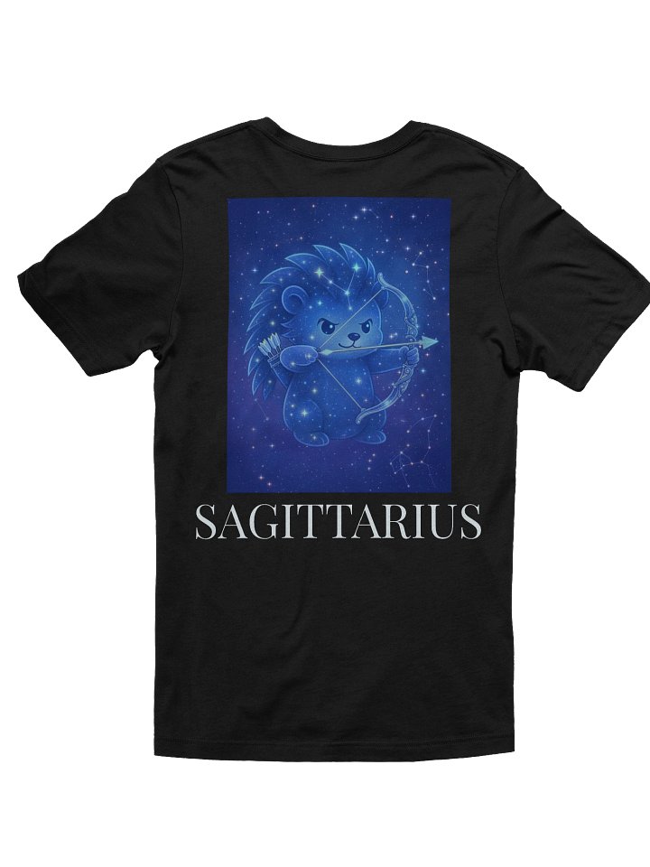 Zodiac hedgie Sagittarius t-shirt product image (86)