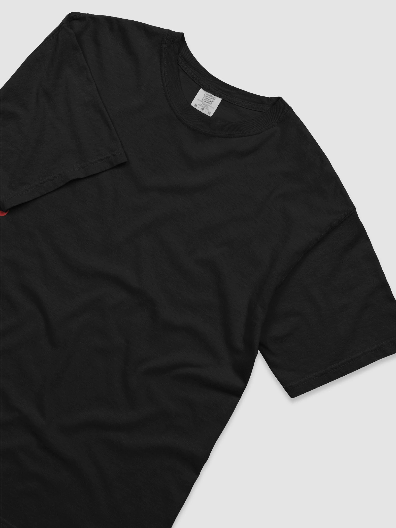 REMOVE BEFORE FLIGHT TEE product image (3)
