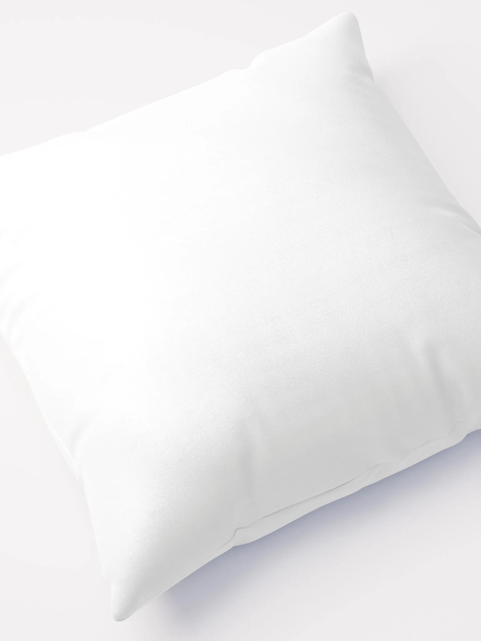 Housing Rights Pillow product image (7)