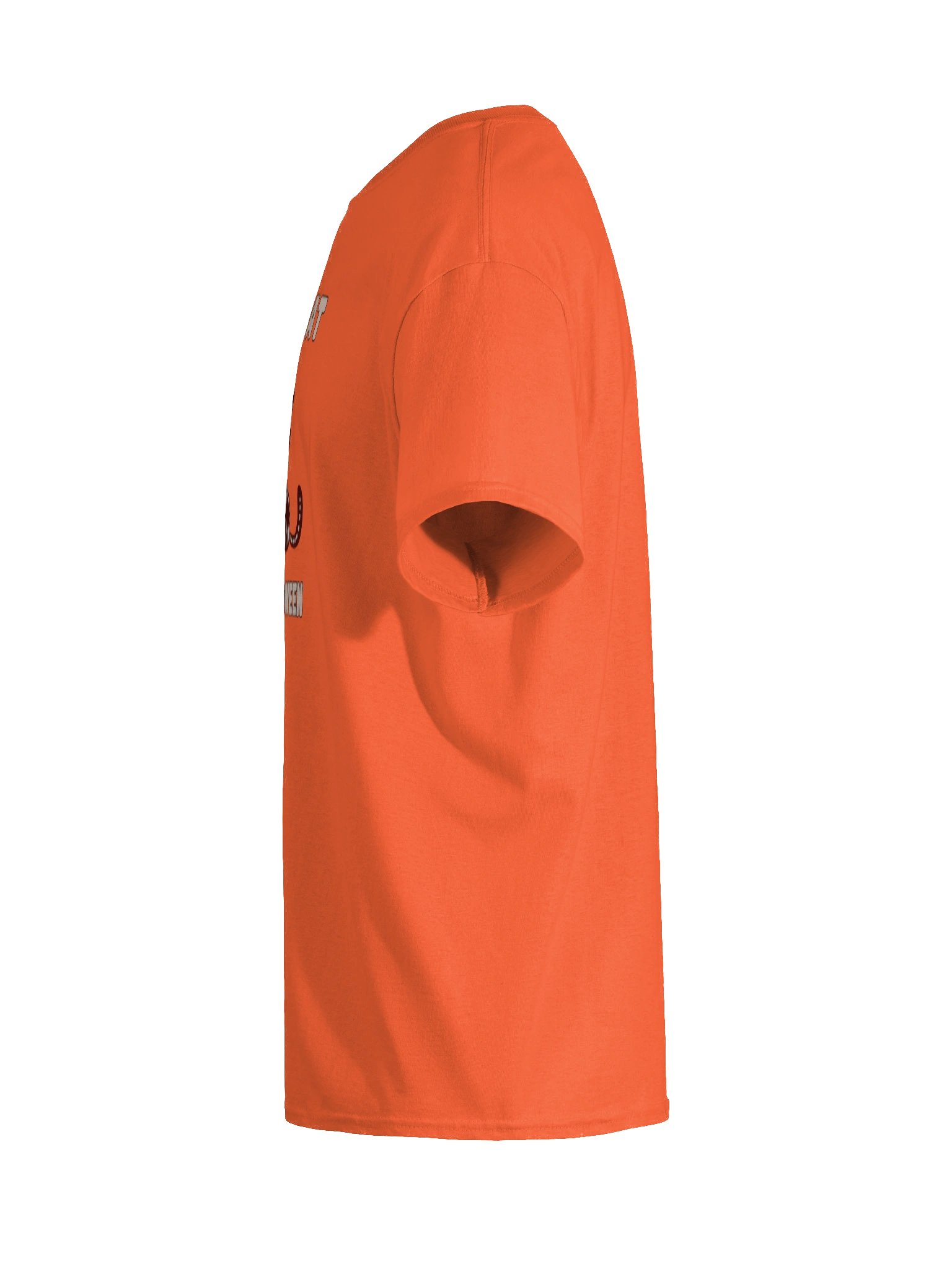 Meowlloween 2025 Tee product image (97)