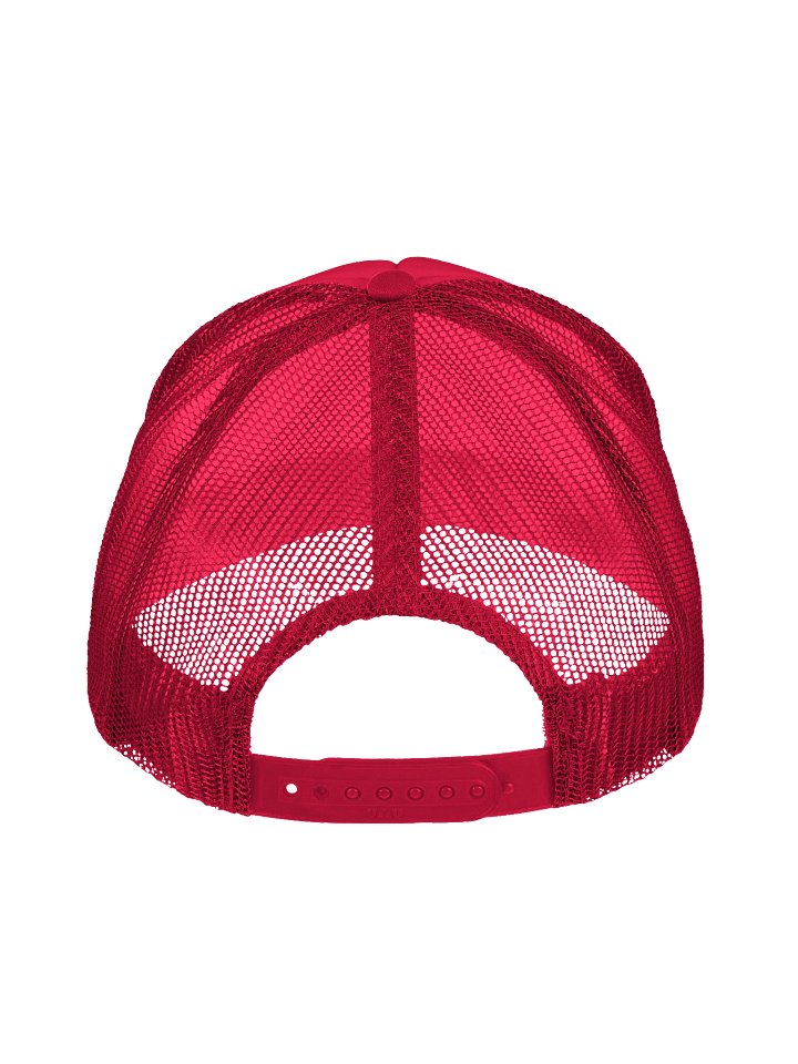 250 years of America Hat product image (4)