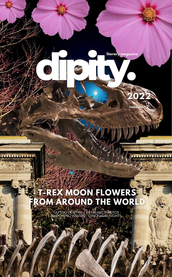 Dipity Literary Mag Issue #2 (Jurassic Ink Rerun Official Edition): Poetry & Photography - December 2022 - Digital Edition product image (1)