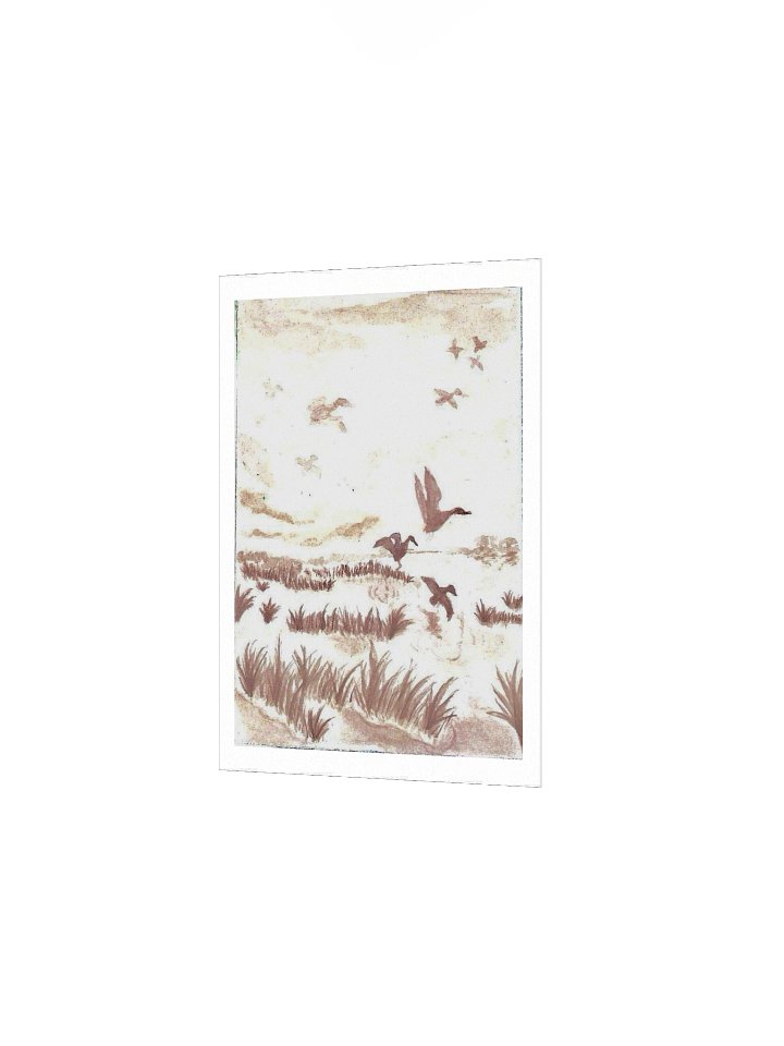 #5 Ducks in Sepia - The Wildwood Wash product image (11)