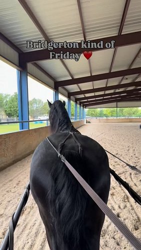 Just a horse girl living her #bridgerton life. 😍🖤🌹 #friesian #carriagedriving #rockwall #horselife @shenanigan_stables @rosin...