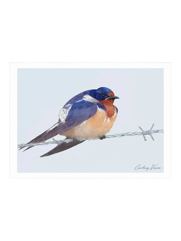 Barn swallow print product image (1)