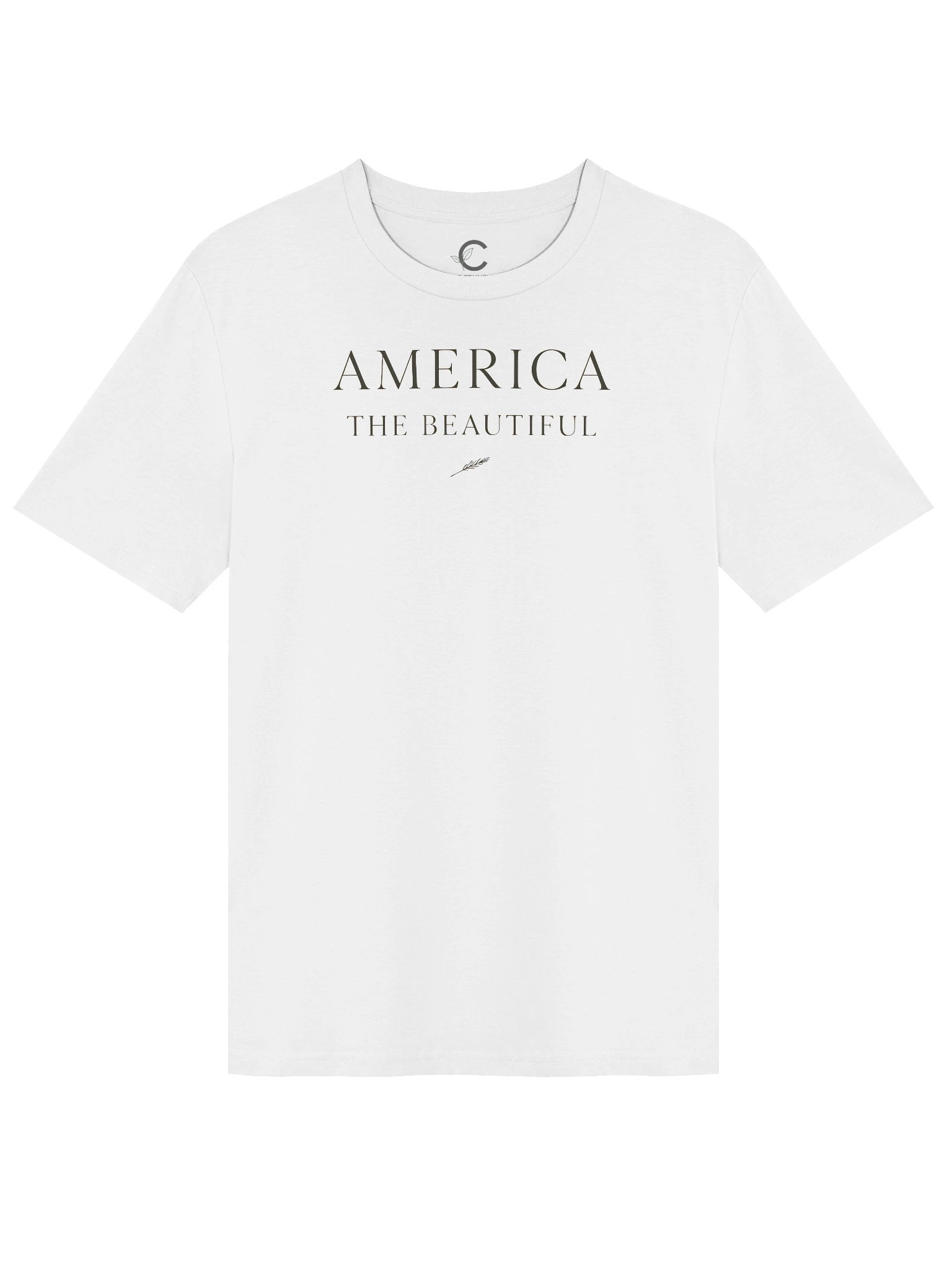 America 250: "America I" Organic T-Shirt product image (4)