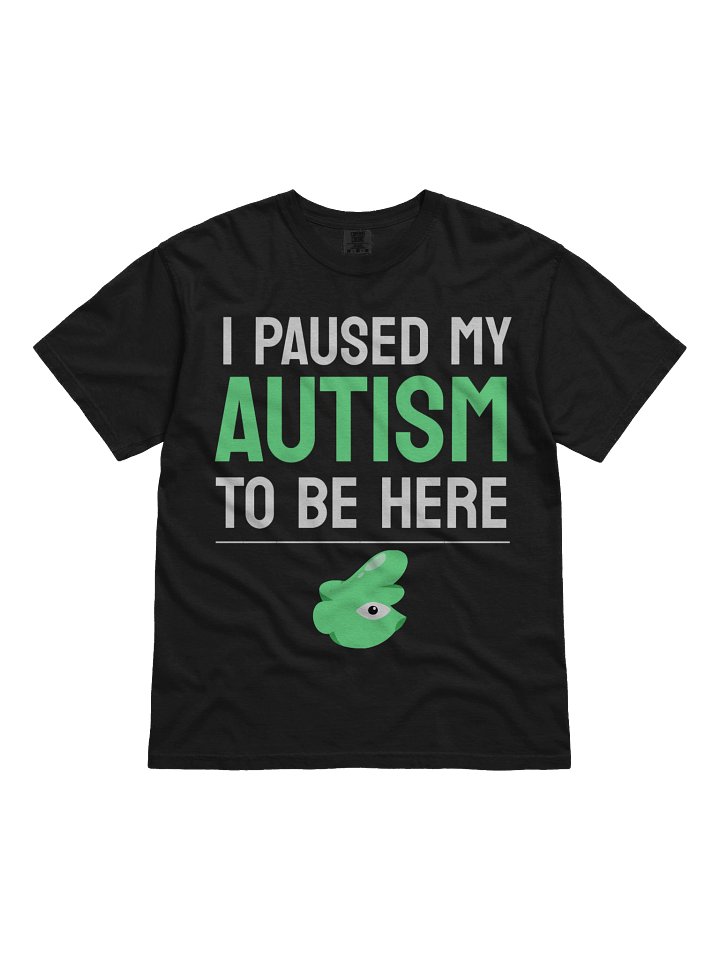 I Paused My Autism T-Shirt product image (1)