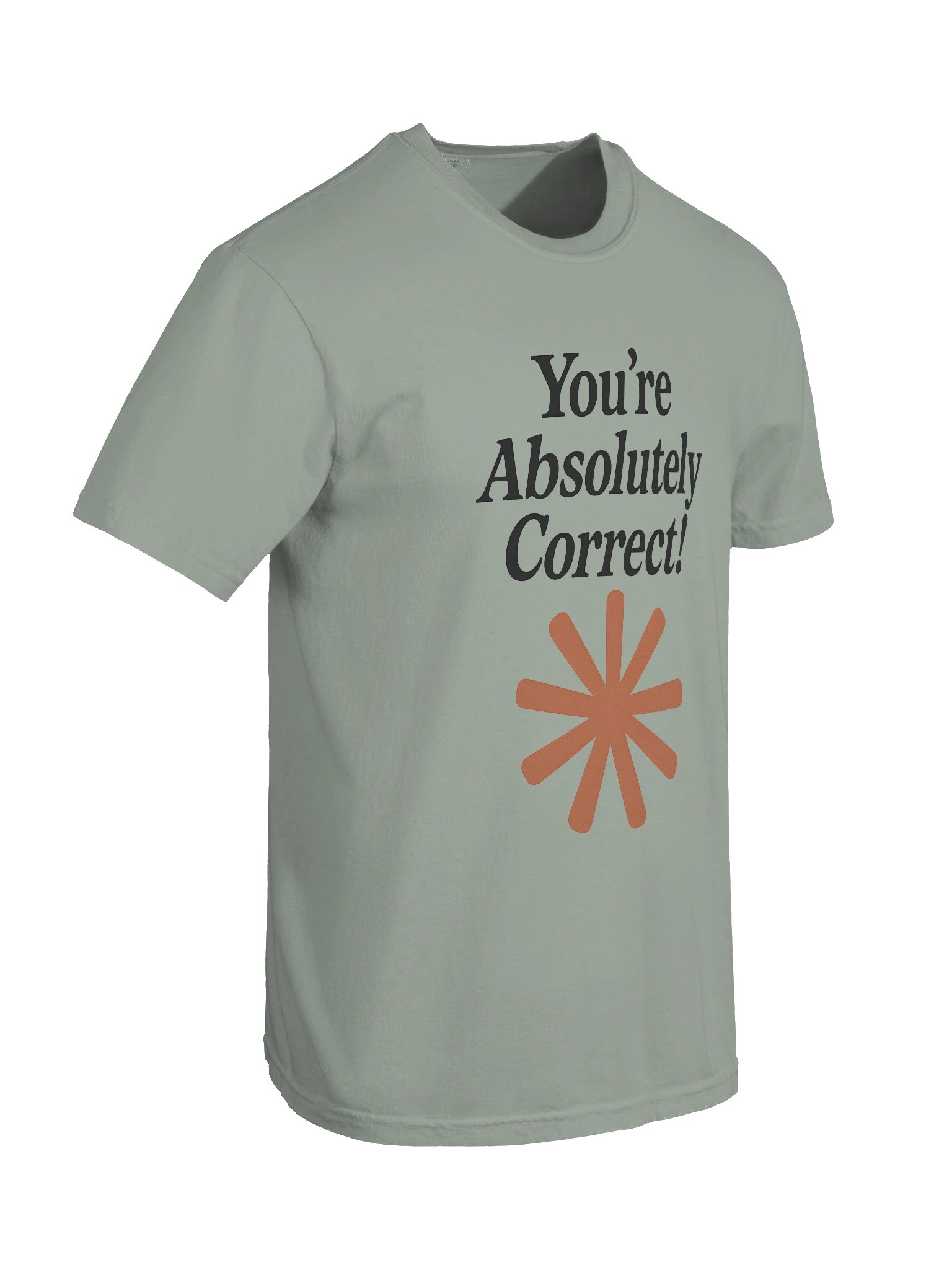 “You’re Absolutely Correct!” - AI Inside-Joke Unisex Tee | Dev & Data Nerd Gift product image (5)