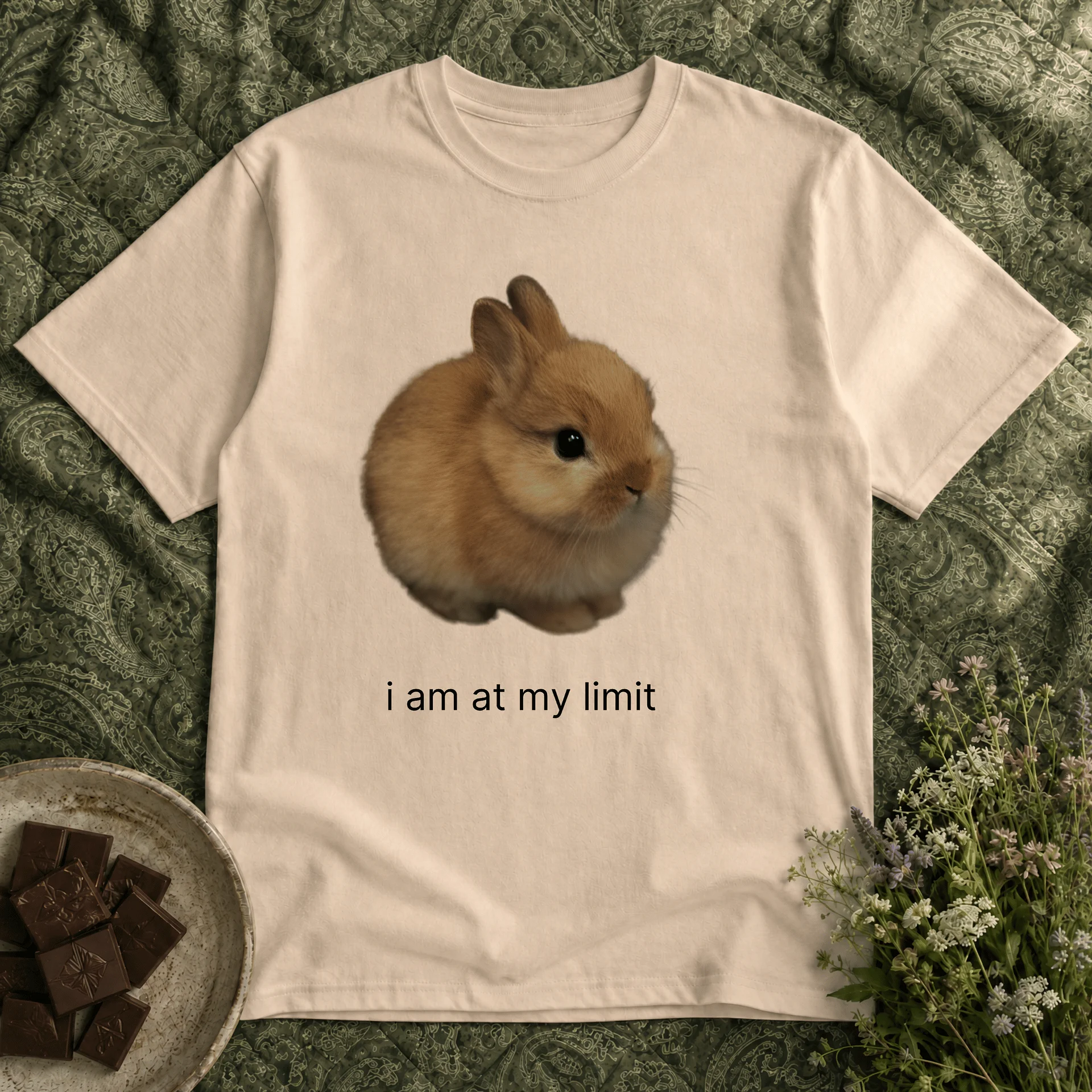 i am at my limit product image (1)