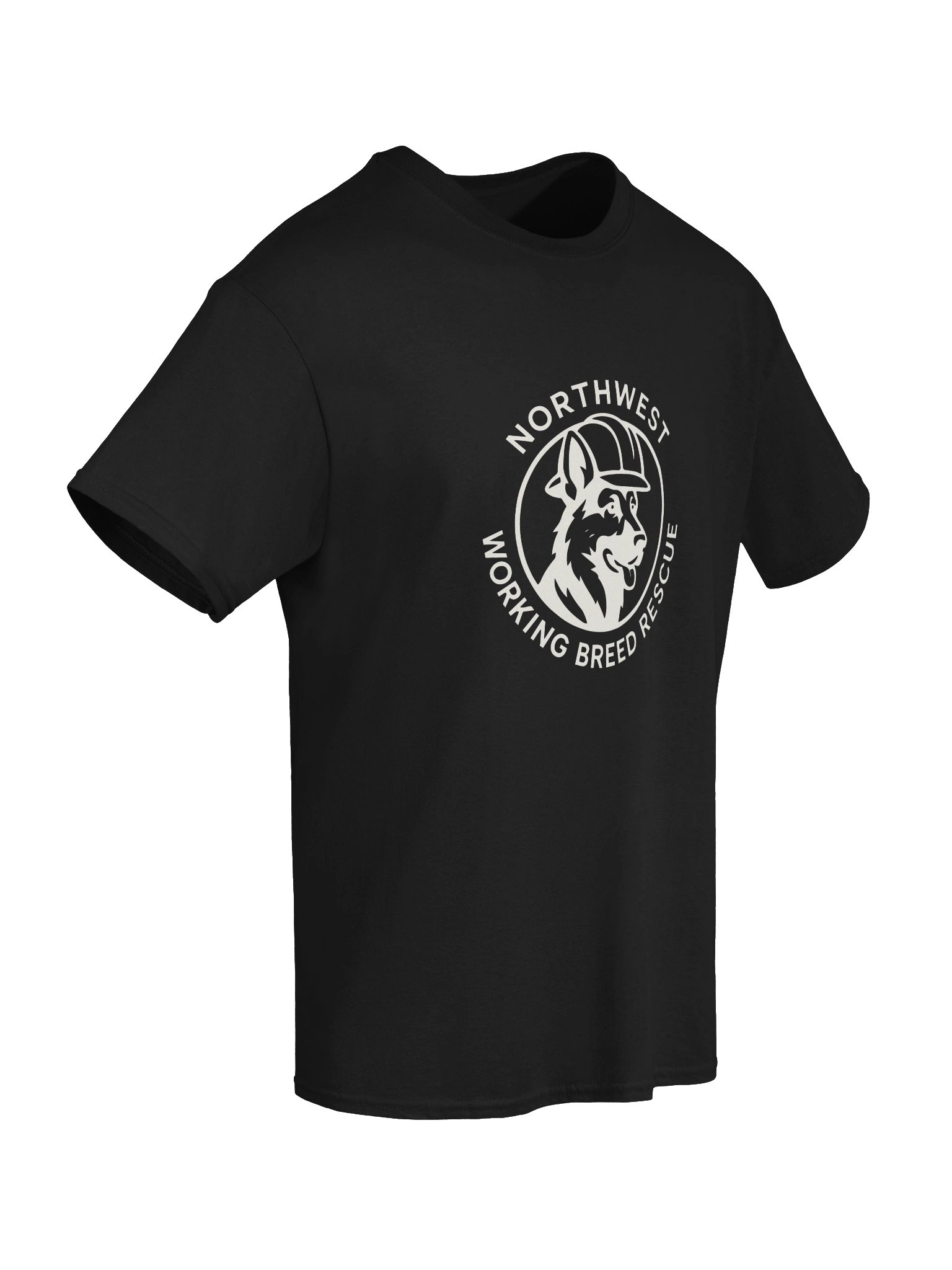 T-shirt product image (65)