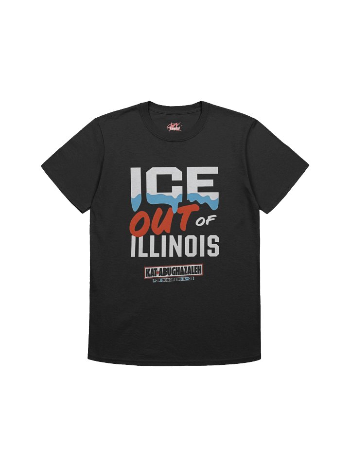 Ice Out Of Illinois Kat Abughazaleh Shirt product image (1)