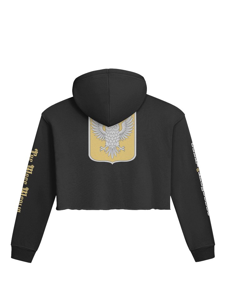 Court of Knowledge Crop Hoodie product image (1)