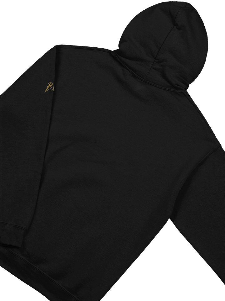 Reshala Hoodie product image (2)