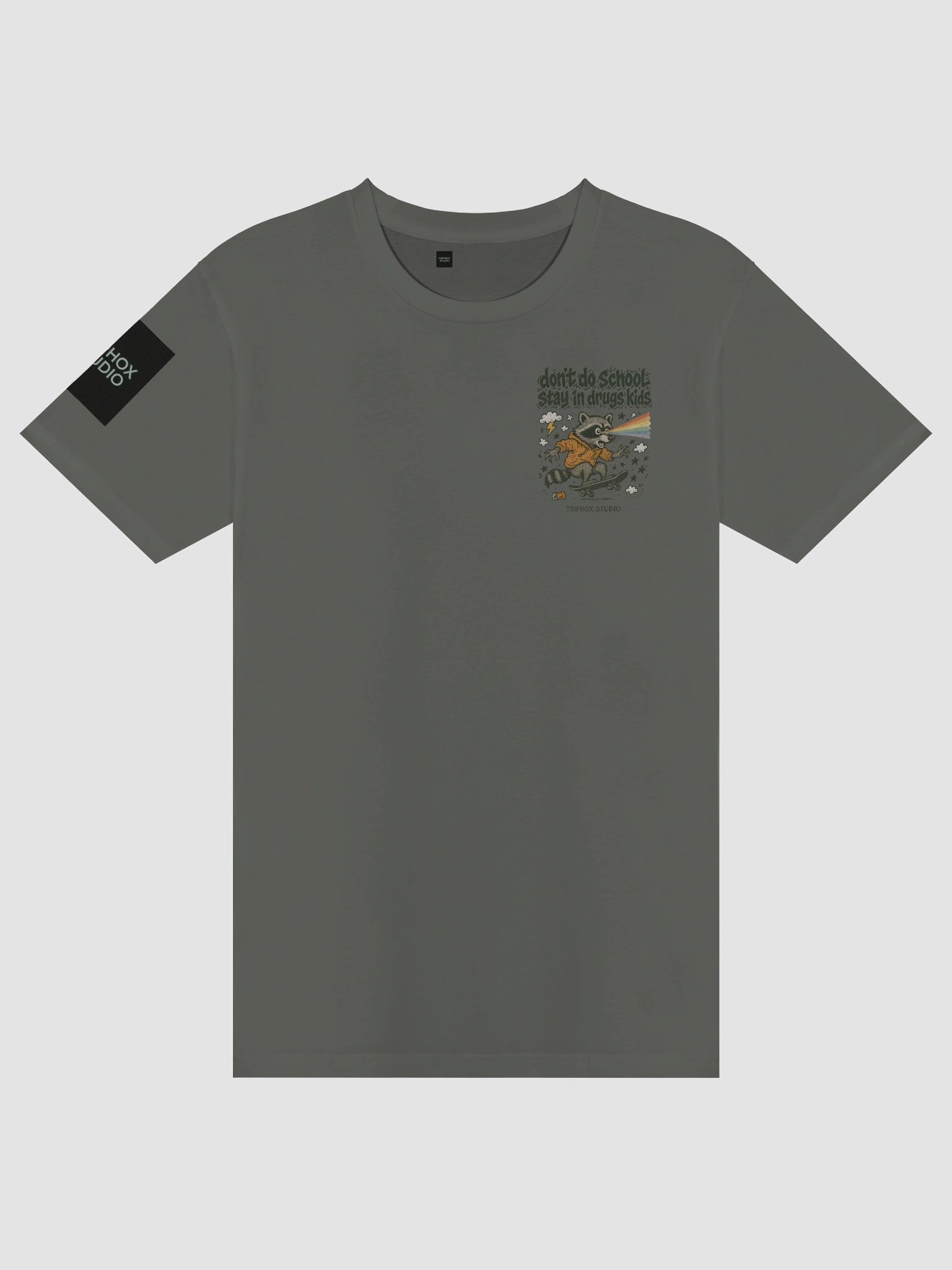 “Don’t Do School” Tee Unisex Premium product image (9)