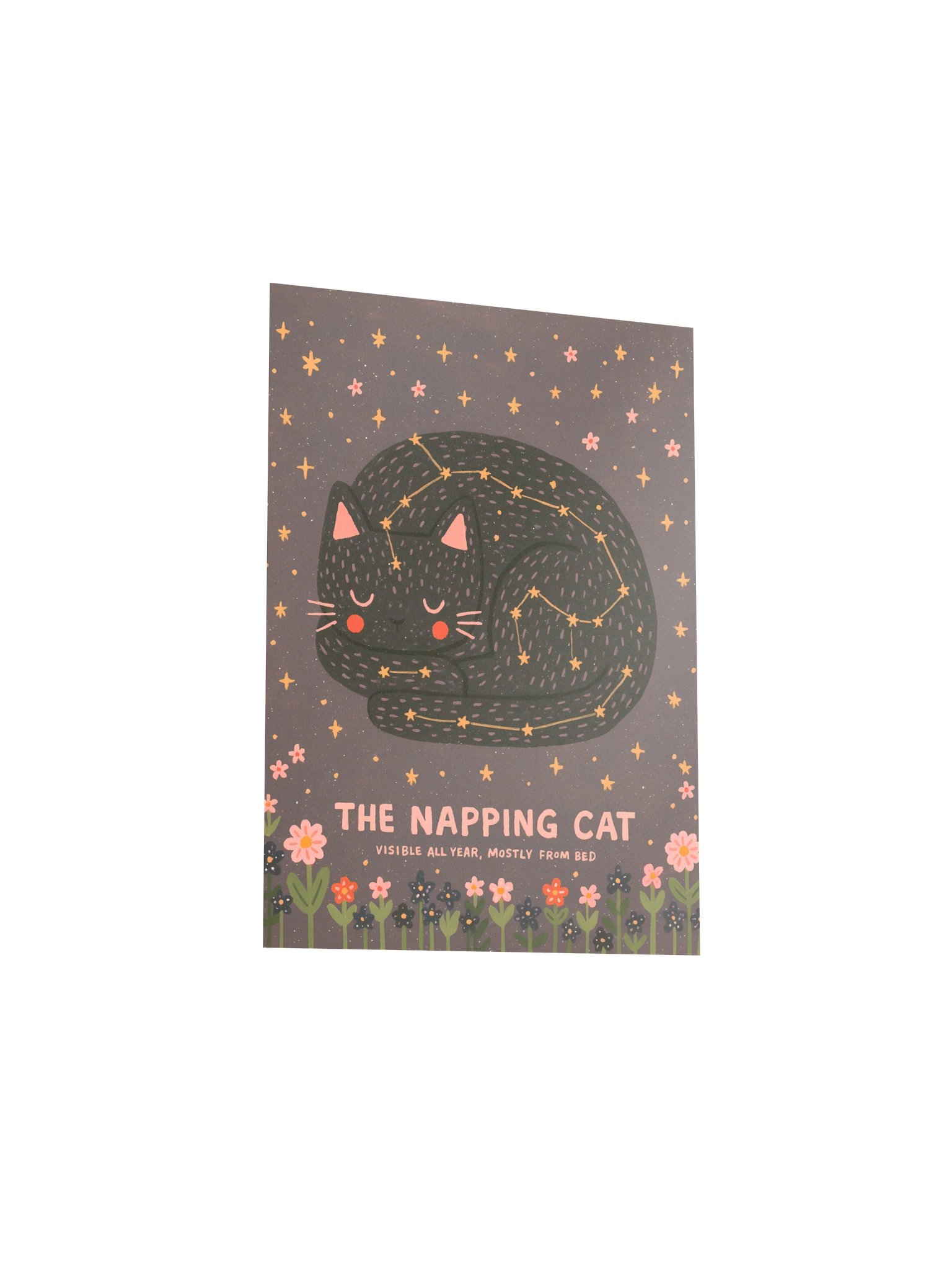 The Napping Cat Starry Poster product image (12)