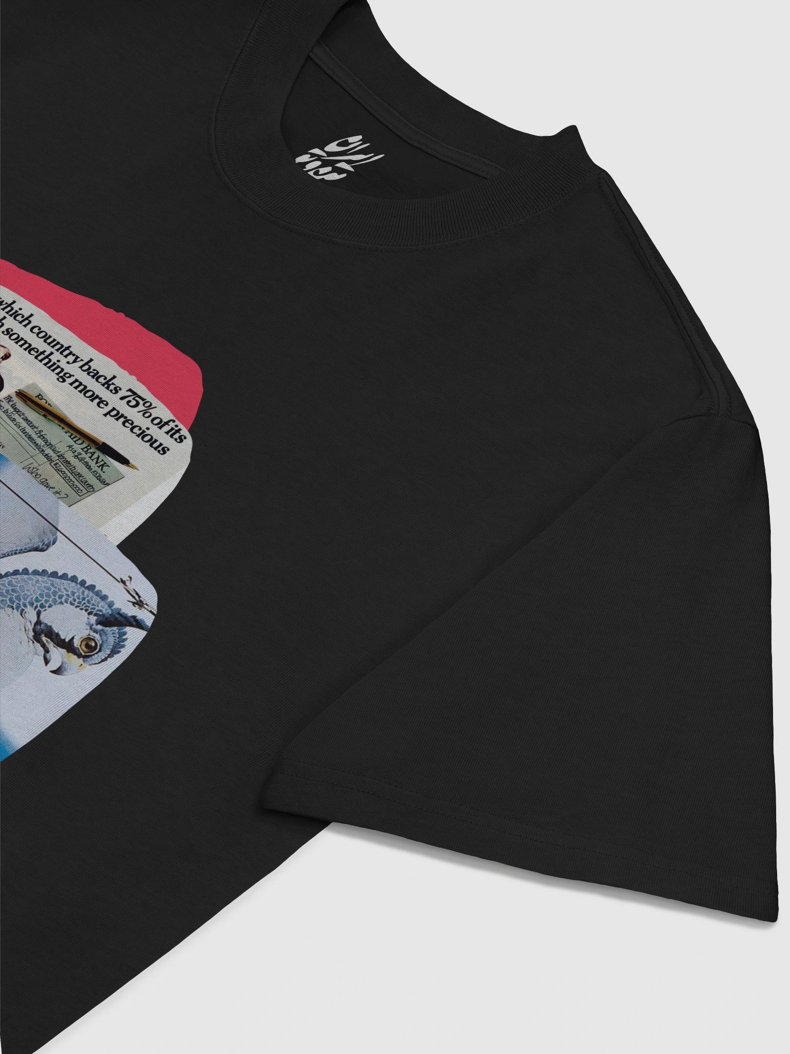 Homa - A Legacy in the Sky product image (5)