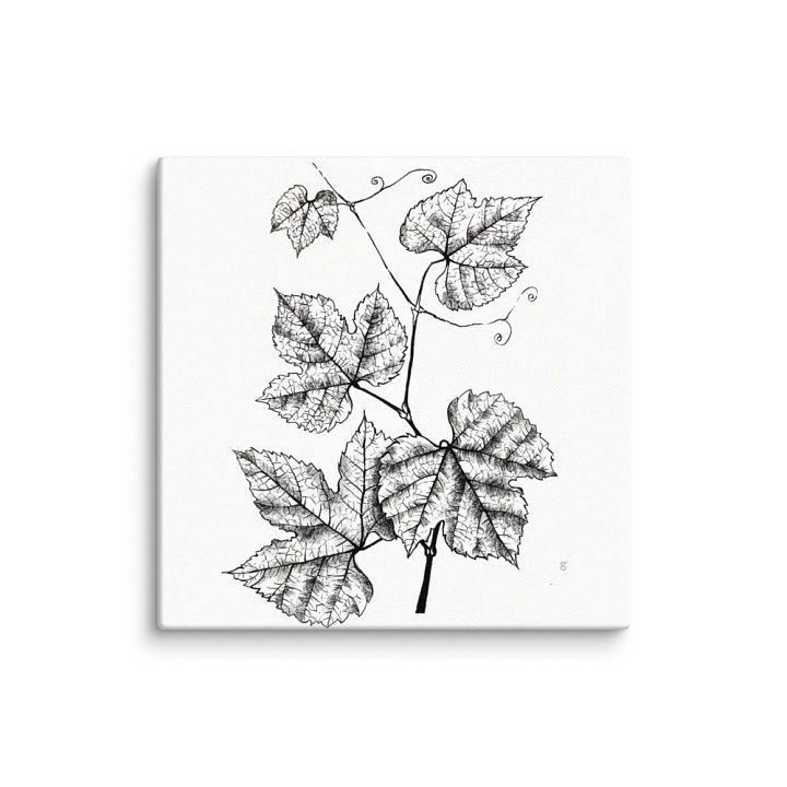 Botanical Bliss Canvas Art - Grape Leaves product image (1)