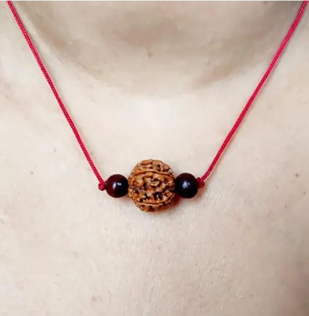 6 MUKHI RUDRAKSHA product image (3)
