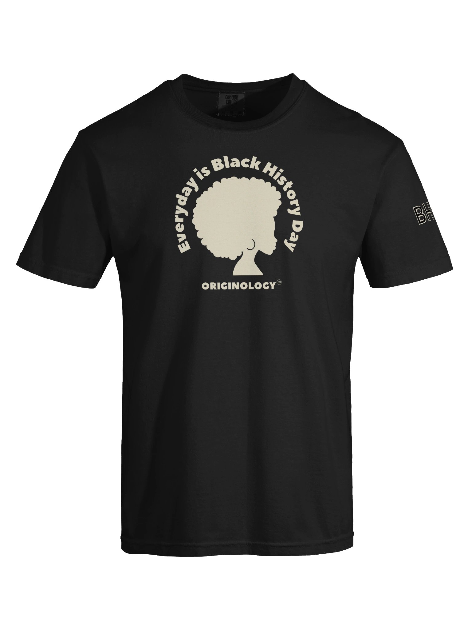 Everyday is Black History Day | Heavy T-Shirt | Originology | Black History X product image (6)