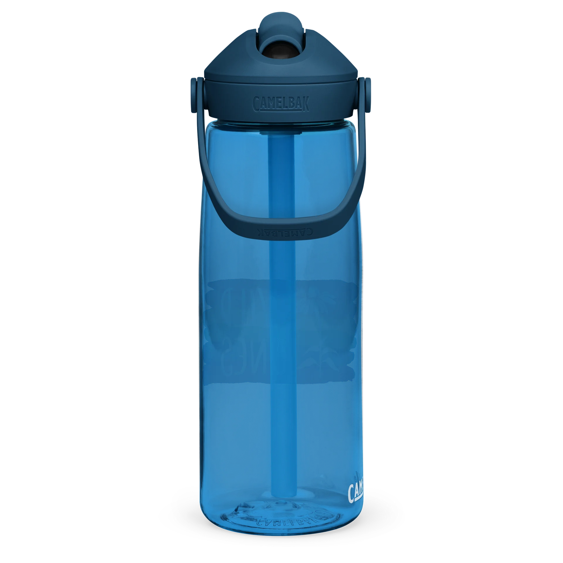 Wild Ones Logo - Pride (Water Bottle) product image (16)