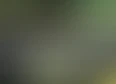 Rich Peters's tag thumbnail