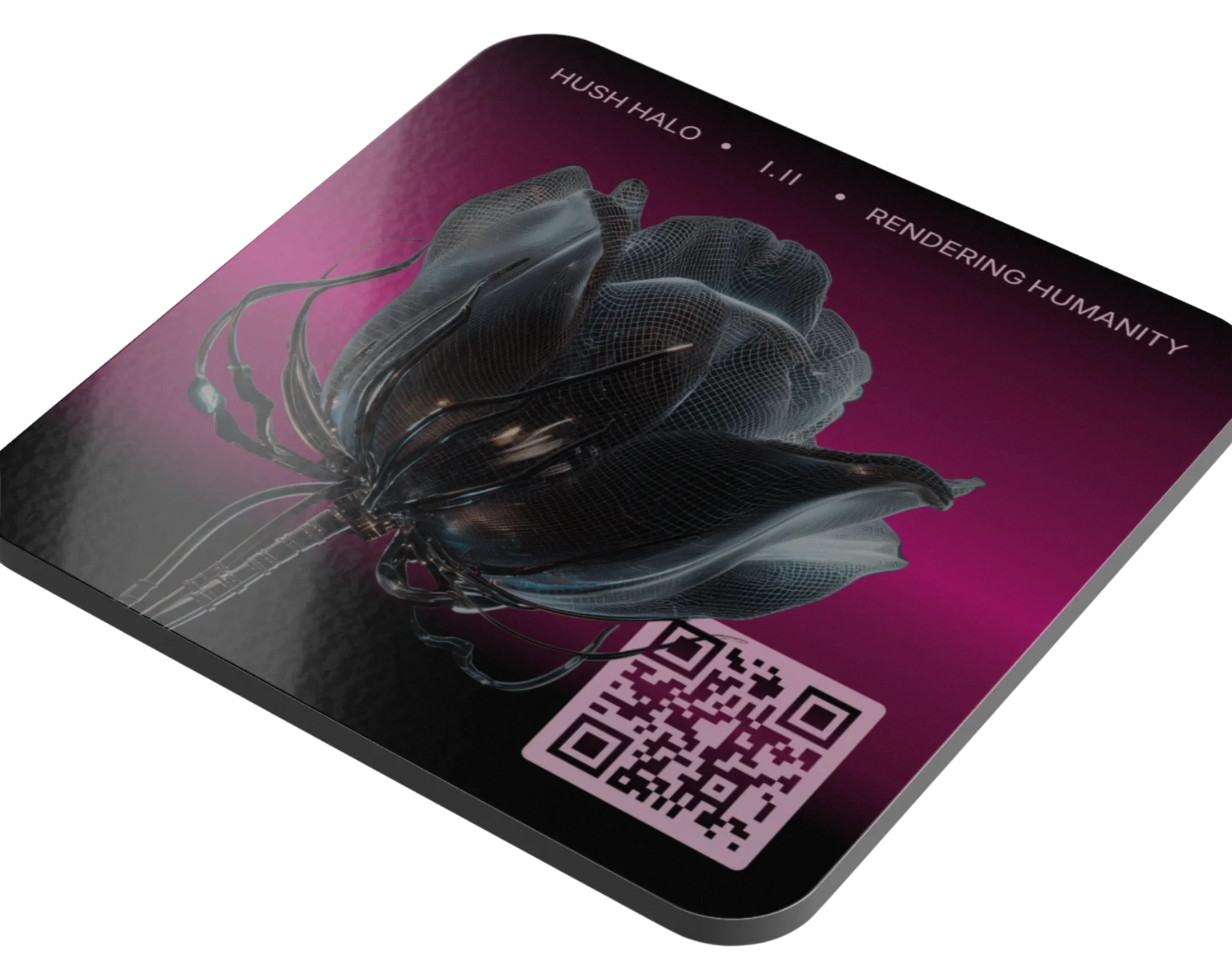 Rendering Humanity, COASTER + Daily Poetry Experience [AUDIO] product image (4)