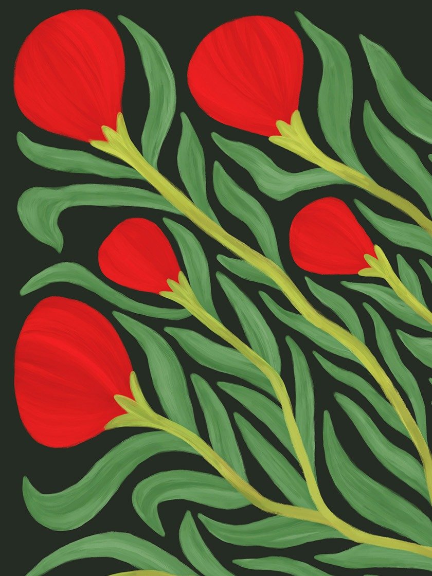 Botanical Print, Plant in Vase Art No.3 product image (2)