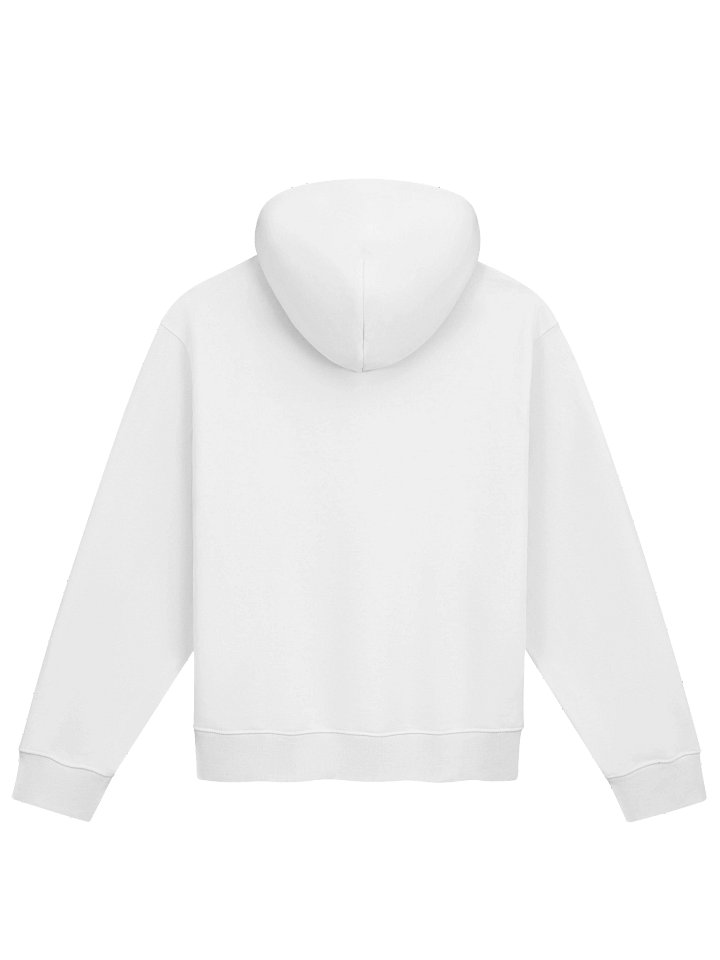 Discretion Beats Scrutiny Hoodie product image (18)