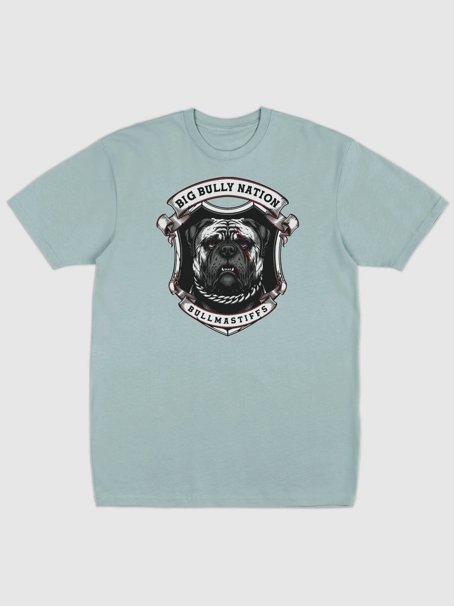 BBN Alter Ego Men's Tee product image (3)