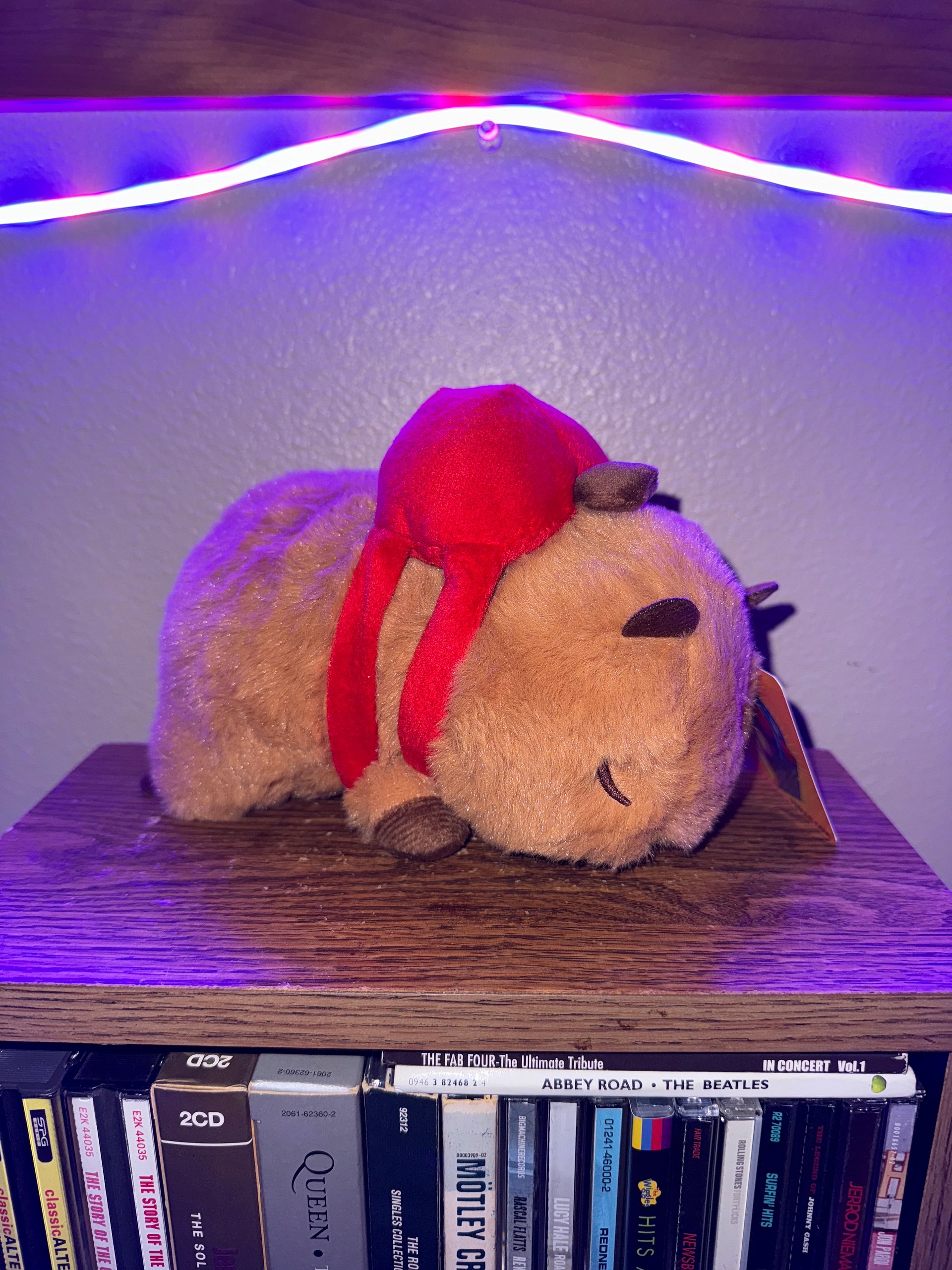 Capybara w/ Backpack Plush product image (1)