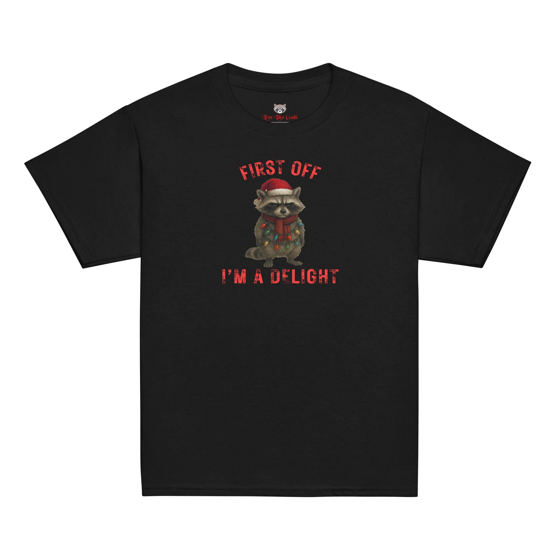 I'm A Delight Raccoon Youth Tee product image (2)