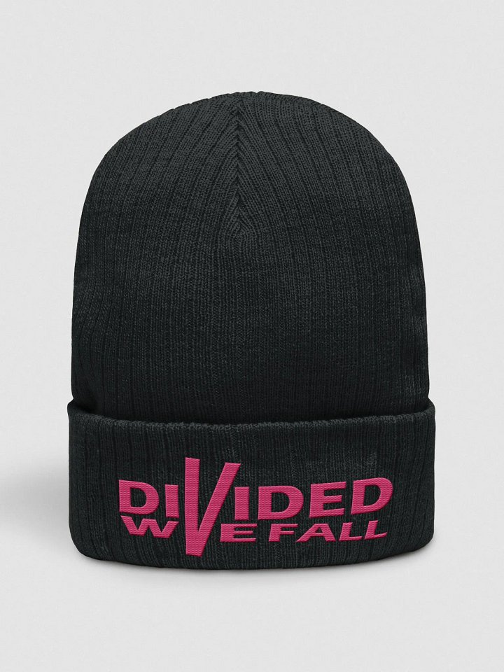 Divided We Fall - Pink - Atlantis Ribbed Knit Beanie product image (1)