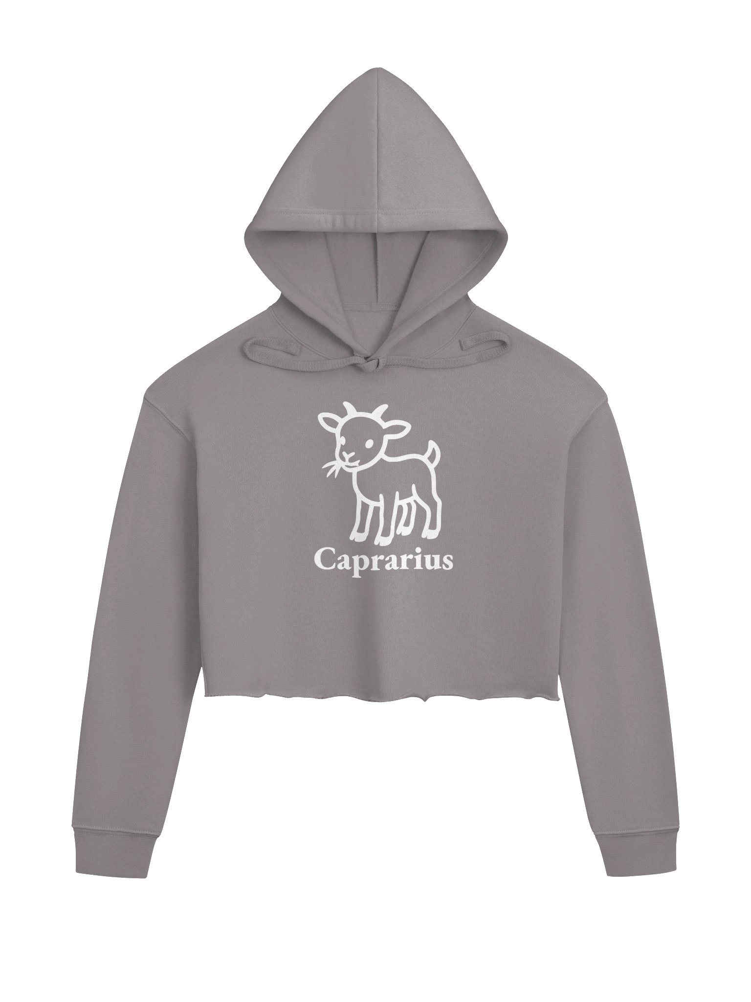 Benny Crop Hoodie product image (2)