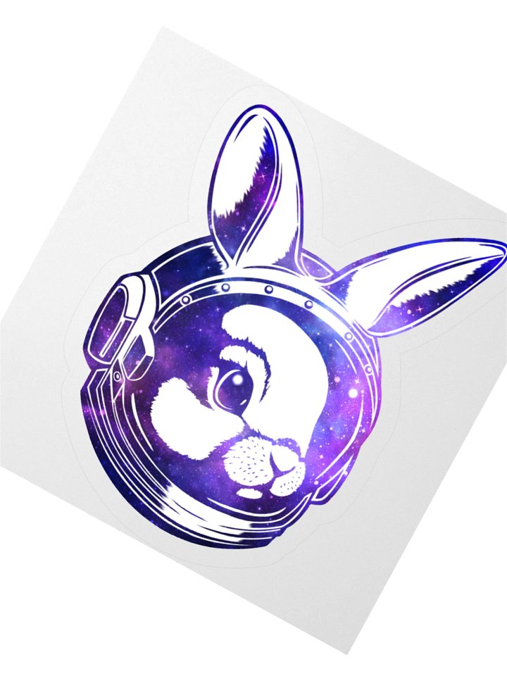 Season 4 Space Bun Sticker product image (2)