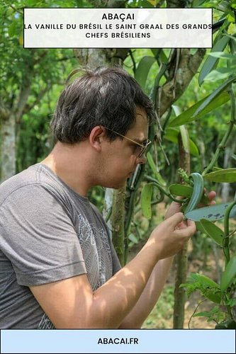 L’Or Vert de la Savane Brésilienne : La Révolution de la Vanille Native du Cerrado Chez Abaçai, notre quête absolue est de ré...