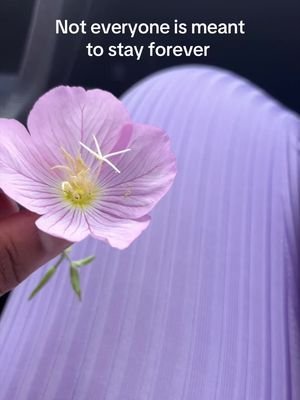 #onthisday #selfreflection #seasonschange #innergrowth #flower 🌸💗 Some people and experiences are only meant to stay in our lives for a season. ❄️🍃🌻🍂 🌸 Not every connection is forever - some are here to teach us, help us grow, and show us new perspectives ✨ Even through distance and pain, it can be hard 🧡🥺 just know there’s always something to learn about ourselves 🌸  Reminder: 💕what is meant for me I will have it 