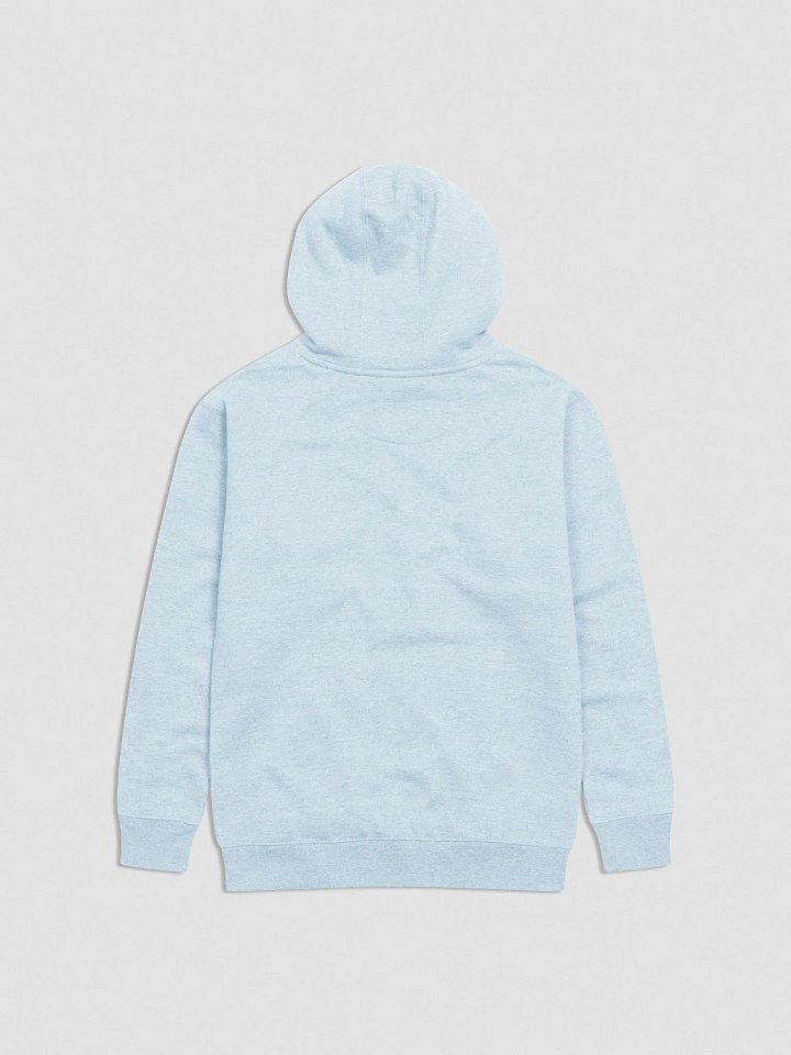 Free Gary Unisex Embroidered Hoodie - Light Colours product image (6)